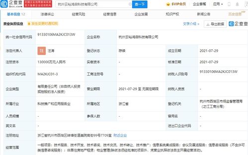 螞蟻集團(tuán)成立云裕鴻啟科技，13億加碼信息系統(tǒng)集成服務(wù)